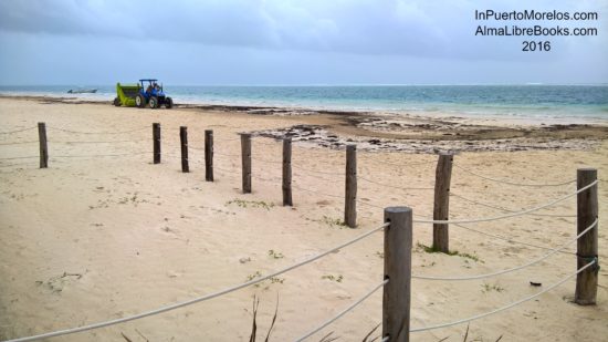 The beach cleaner is out already!